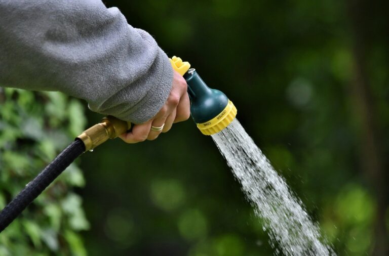 Garden Elixir: Unveiling the Magic of Watering