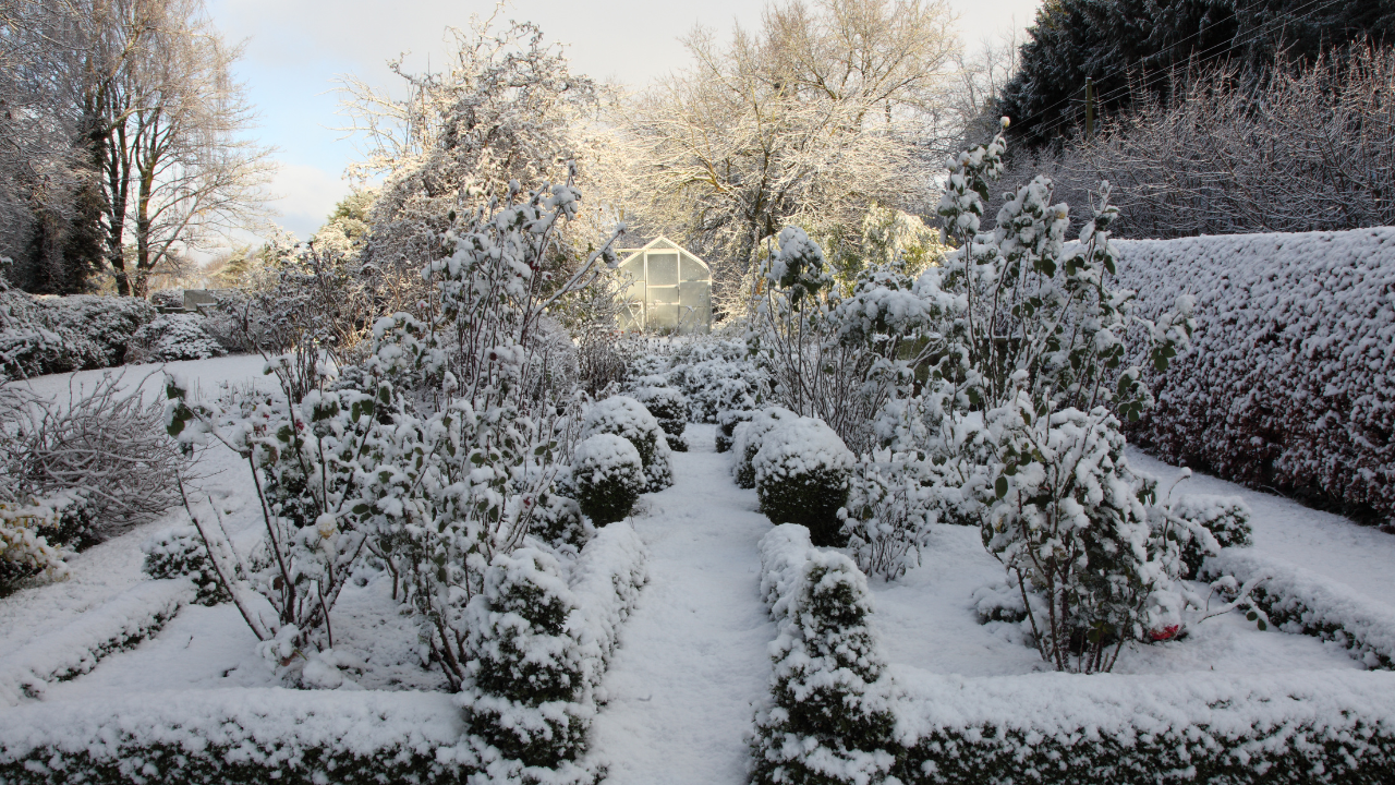 winter garden